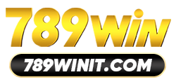 789winit.com